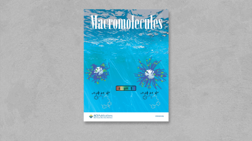 pH-Dependent Structure of Block Copolymer Micelles Featuring a Polyampholyte Corona: A Combined Experimental and Theoretical Approach