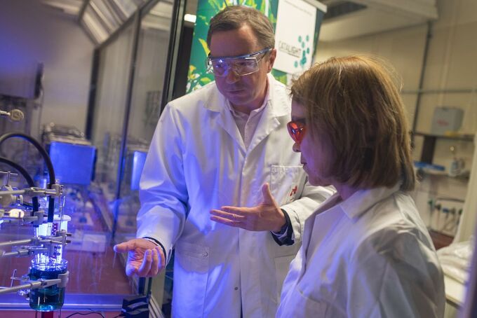 Prof. Sven Rau, head of the Institute of Inorganic Chemistry I, explains the production of green hydrogen to Minister Petra Olschowski