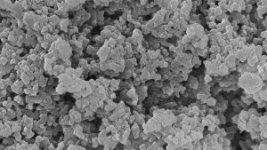 Scanning electron microsocopy image of a porous polymer-based material